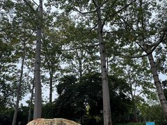 -南宁南湖公园