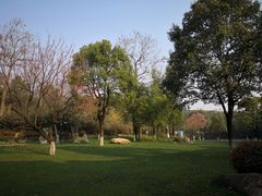 -天目湖御水温泉·度假酒店