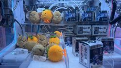 -莫莉幻想儿童乐园(苏州常熟永旺店)