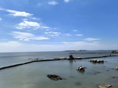 -福如东海文化园
