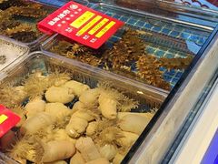 -驻海渔市(置信店)