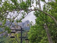 -雁荡山风景名胜区