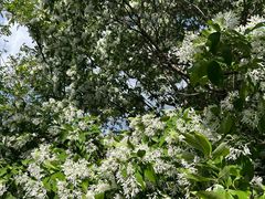 -千佛山风景名胜区-历山院