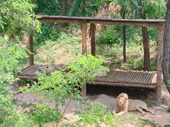 -石家庄市动物园