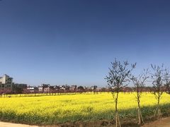 -呈贡滇池生态湿地公园