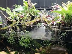 -ADA自然水景世界