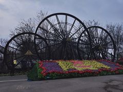 -呀路古热带植物园