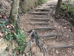 -阳台山森林公园