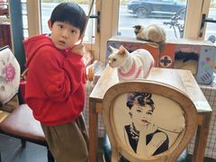 -猫小院猫主题餐厅(南锣旗舰店)