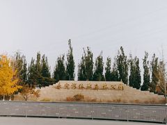 -永定河休闲森林公园