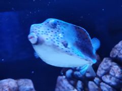 -成都浩海立方海洋公园