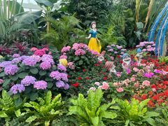 -石家庄市植物园