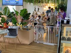 -Husky Go! 哈士奇体验馆·宠物咖啡厅狗咖