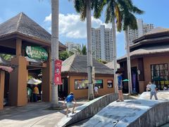 -亚马逊丛林水乐园