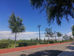-哈尔滨音乐公园