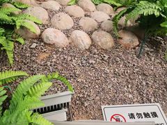 -延庆地质公园博物馆