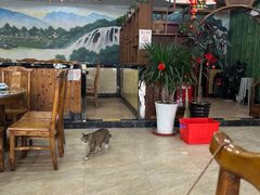 -九寨沟石锅鱼(沣峪口二十年店)