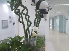 -北京积水潭医院(回龙观院区)