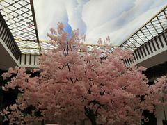 -添赐温泉馆(上南路店)