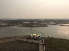 -春花秋色城市公园