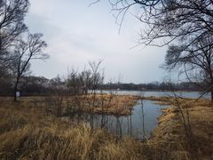 -野鸭湖国家湿地公园