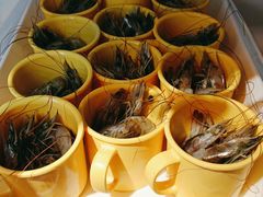 杯杯鲜虾-四毛不撸火锅串串