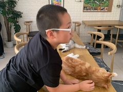 -平行世界·猫咖(首经贸店)
