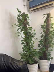 点击看大图 -爱儿美儿童摄影(五路居花园别墅店)