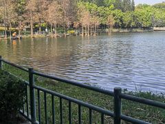 -深圳龙潭公园