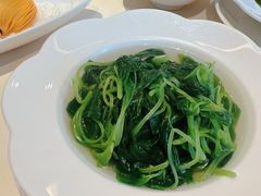 堂灼青菜-利苑酒家(华熙国际店)