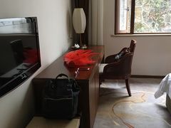 -九华山聚龙大酒店