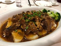 客家碌鹅-樟木头三正半山酒店·汉宫中餐厅
