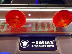 -一只酸奶牛(八一路店)