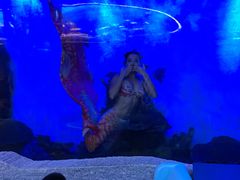 -瑞德姆美人鱼海底演艺主题餐厅(亚龙湾店)