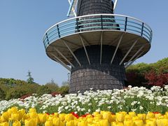 -上海鲜花港