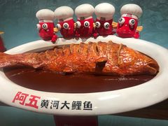 -阿五黄河大鲤鱼(英协路店)