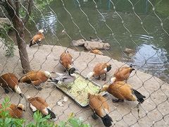 -沈阳鸟岛
