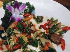 -东哥紫阳蒸盆子(旺座·现代城店)