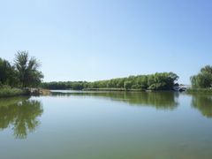 -大兴滨河森林公园