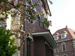 -天津津利华酒店