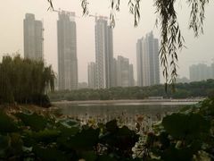景点-后襄河公园