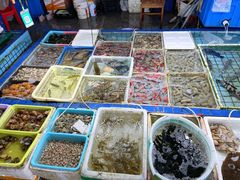 -霞涌市场海鲜摆卖区