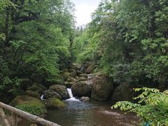 -龙苍沟森林公园