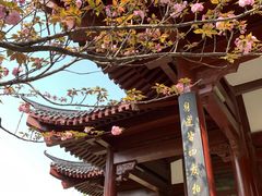-堤角公园
