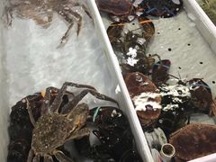 -大湾区中央湿地公园-十九涌