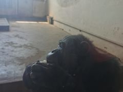 -哈尔滨北方森林动物园