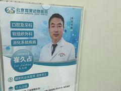 -北京观赏动物医院·24小时大型综合·猫专科·异宠专科