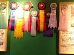 -猫十亿·布偶金渐层·曼基康矮脚猫舍(青年路店)