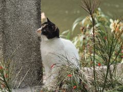 -晓港公园
