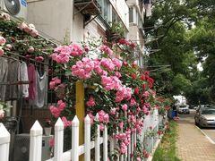 -世纪缘湖滨花园酒店·湖景轩中餐厅(太阳宫店)